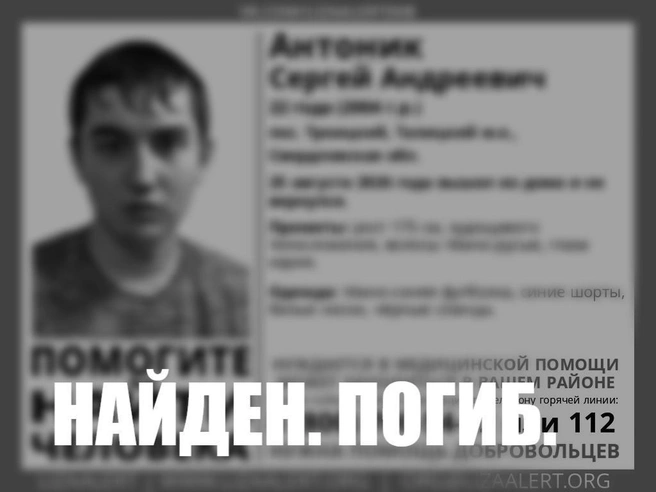 Источник: «ЛизаАлерт»