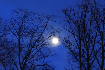 Воронеж восстанавливается после атаки: 17 человек в ПВР, отопление отключено