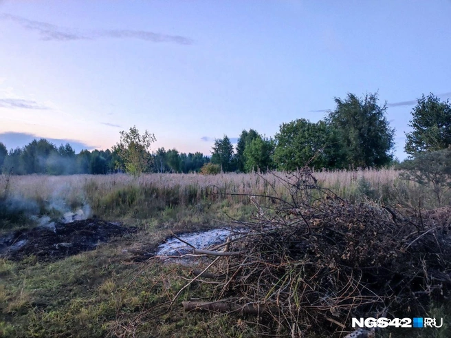 Мусор сжигали на ближайшем пустыре | Источник: читатели NGS42.RU