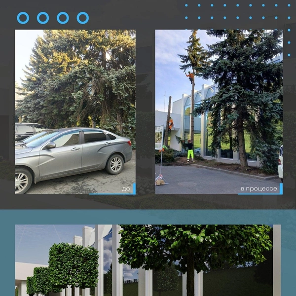 Растительности на участке станет больше | Источник: Baitek Machinery / Life / Vk.com