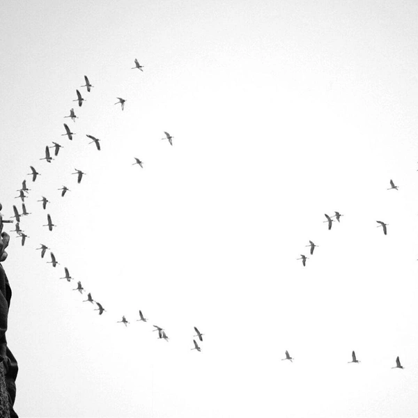 Источник: Jignesh Chavda / Pure Street Photography Awards 2025