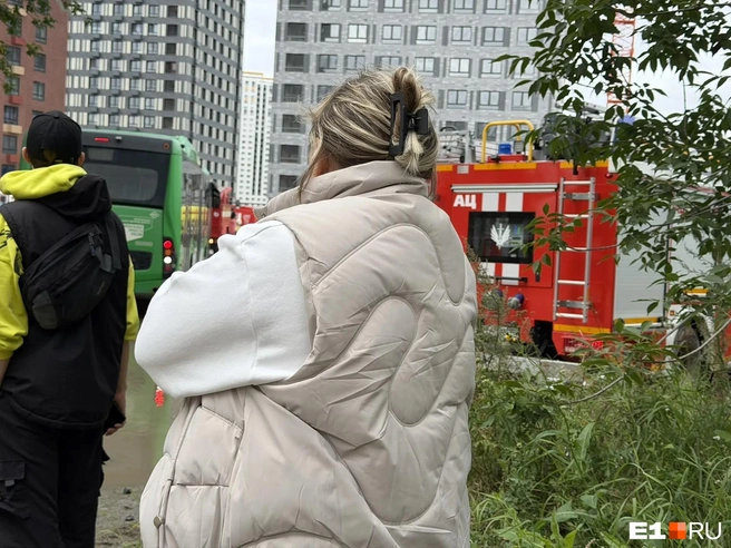 Екатеринбурженка пытается связаться с братом | Источник: читатель E1.RU