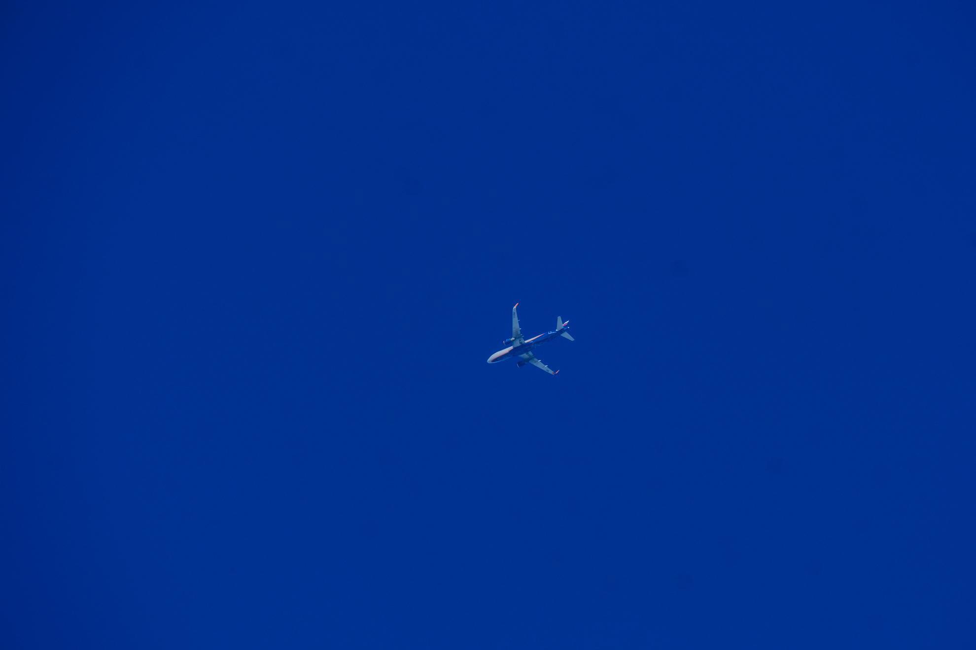 Задержанную министра культуры Башкирии этапируют в Москву спецбортом