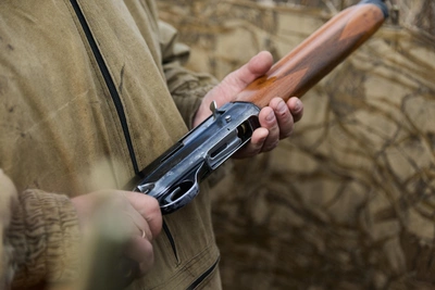 Житель Шипицыно оштрафован за убийство щенка