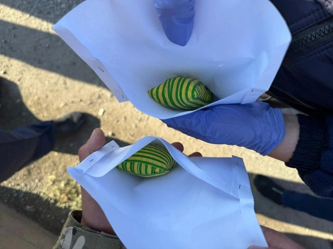 У мужчины нашли два свертка с наркотиками | Источник: УМВД России по Тюменской области