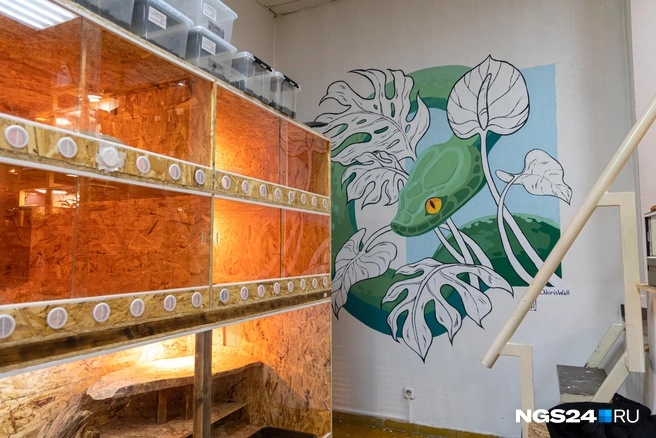 «Туман» декорировали с любовью  | Источник: Мария Ленц / NGS24.RU