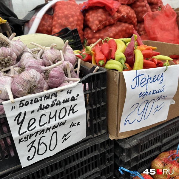 Источник: Юлия Король / 45.RU