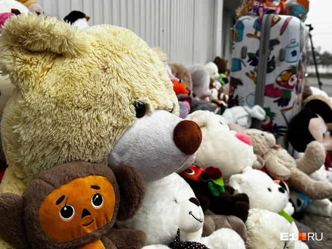 Люди несколько часов несли игрушки в память о девочках | Источник: Кирилл Кушнов / E1.RU