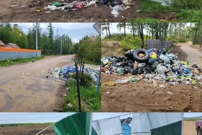 Свалки в парке Ивано-Арахлейский ликвидируют по решению суда