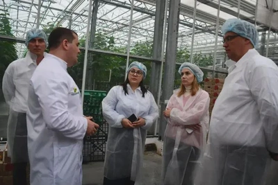 Делегация из Башкортостана посетила теплицы и библиотеку