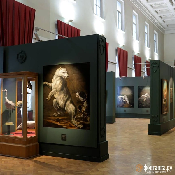 Источник: Дарья Драй / «Фонтанка.ру»