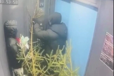 Yekaterinburg Grinch Gang Steals Christmas Tree, Children Upset