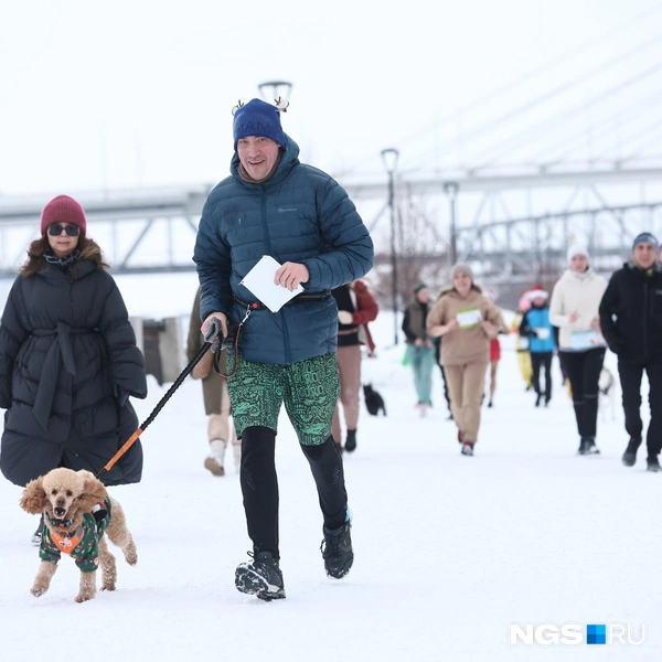 Пудель был не особо в настроении | Источник: Александр Ощепков / NGS.RU