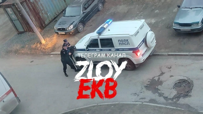 Источник: zloy_ekb / t.me