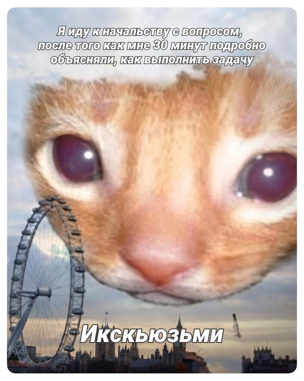 Немножко недопонял | Источник: Полина Авдошина / Городские медиа