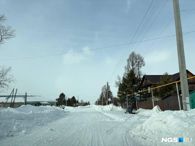 Многие владельцы КРС продавали молоко и мясо, а сейчас лишились доходов | Источник: Настасья Медведева / NGS.RU