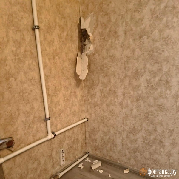 Обои лохмотьями, стена проломлена&nbsp;— так выглядит угол «отремонтированной» комнаты. | Источник: «Фонтанка.ру»