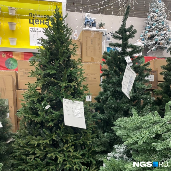 В магазине большой выбор искусственных елок, цена зависит от высоты и украшений в виде шишек или искусственного снега | Источник: Алёна Золотухина / NGS.RU
