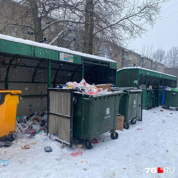 Так выглядит контейнерная площадка 12 февраля  | Источник: жители дома на Салтыкова-Щедрина