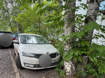 Такая парковка авто влетит владельцу в копеечку | Источник: ЛЕНОЧКА / Telegram