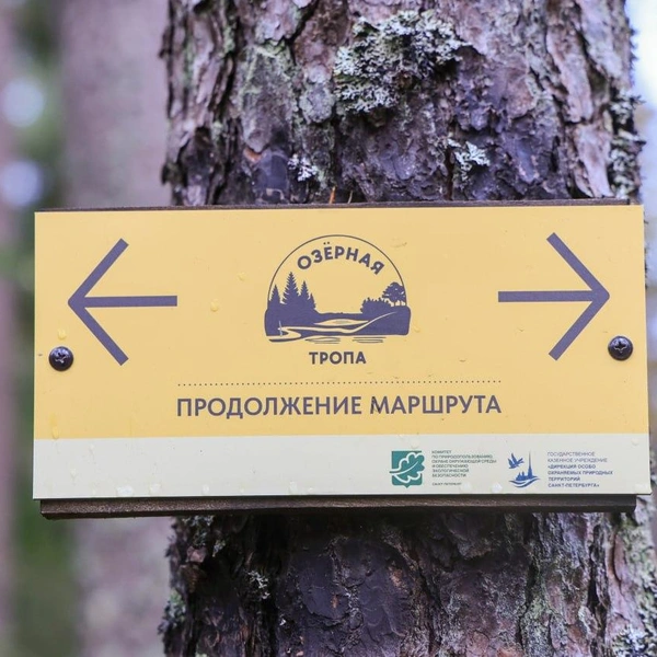 Источник: правительство Петербурга