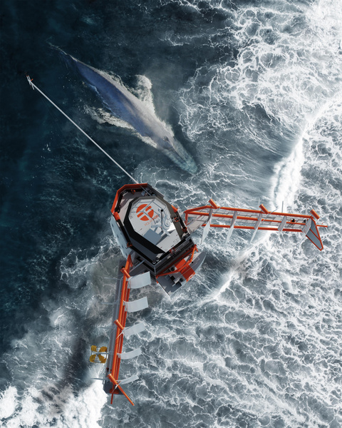 Вновь за горизонт: Hublot присоединился к экспедиции по изучению Южного океана