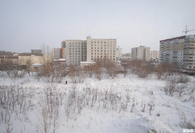 Эпизоотическим очагом оказалось 9-этажное общежитие | Источник: Дмитрий Зайцев / 2ГИС