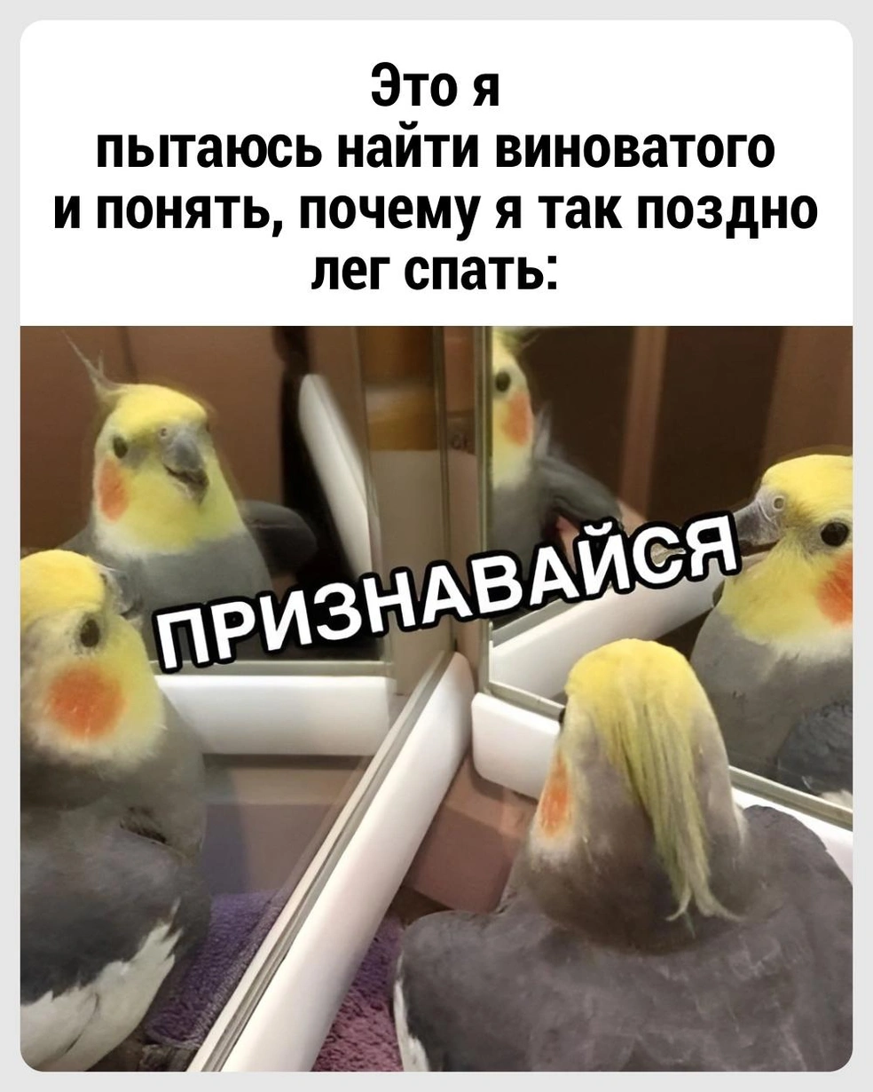 Необходимо провести расследование | Источник: Городские медиа