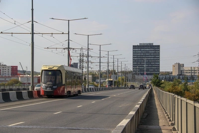 Выделенку для автобусов у Мызинского моста сделают после ремонта