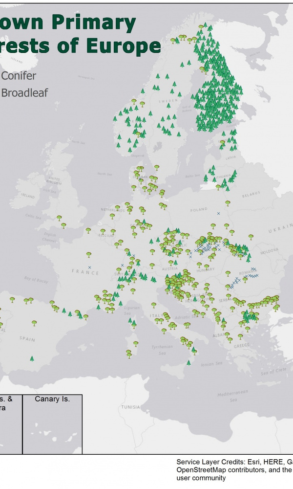 Карта лесов европы