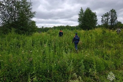 В Приамурье продолжаются поиски грибника, обследовано 94 км² леса