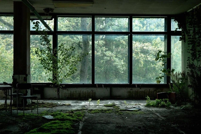 Деревья в сериале захватили привычный человеческий мир | Источник: Okko