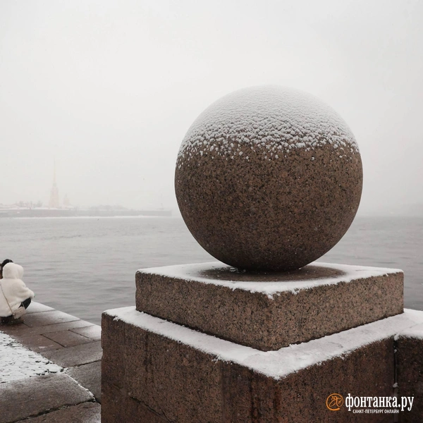 Источник: Сергей Михайличенко / «Фонтанка.ру»