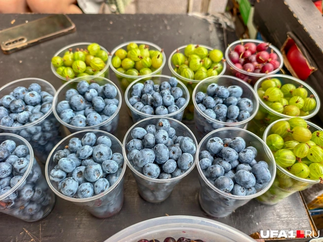 На вкус и цвет, как говорится… | Источник: Булат Салихов / UFA1.RU