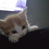 userpic__Анастасия