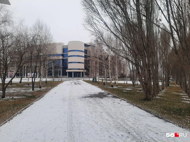 Источник: Анастасия Баринова / 56.RU