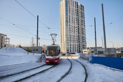 Подросткам-погромщикам в Новосибирске грозят иные меры