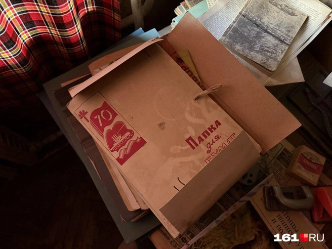 Источник: Марина Рыбалкина / 161.RU