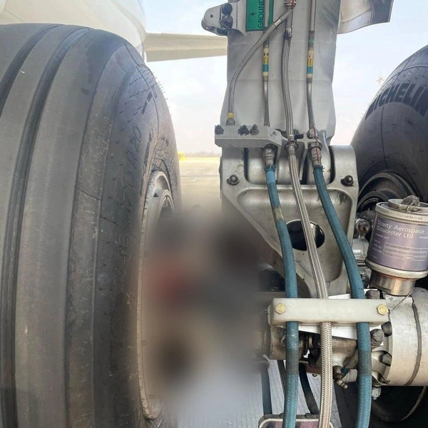 Источник: UralAirlines_Official / T.me