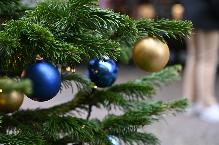 Придуманное Рождество: 9 занимательных фактов об одном из главных христианских праздников