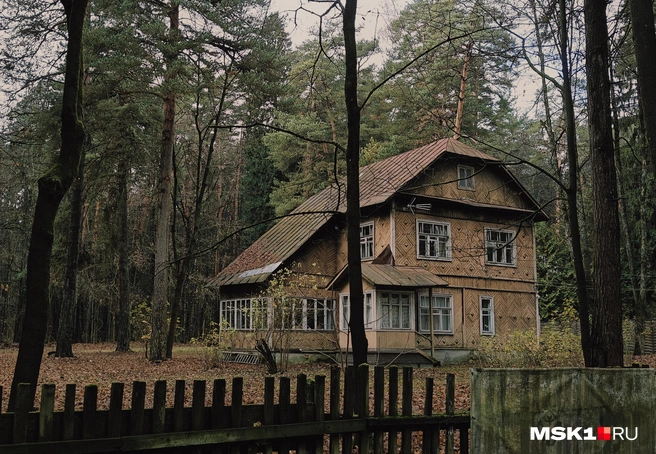 Источник: Полина Баранова / MSK1.RU