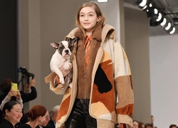 Неделя моды в Милане: 30 самых интересных образов с показов Tod's, Sportmax и Antonio Marras