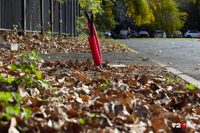 На этом месте будет стоять фонарь  | Источник: Павел Красоткин / 72.RU 