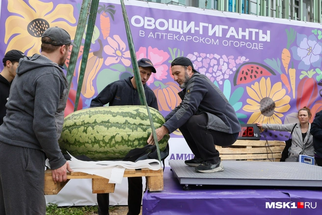 Источник: Артем Устюжанин / MSK1.RU