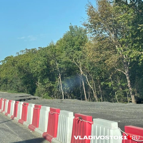 Источник: Елена Буйвол / VLADIVOSTOK1.RU