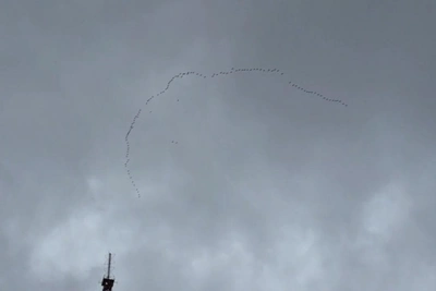 Над Уфой пролетели косяки весенних гусей