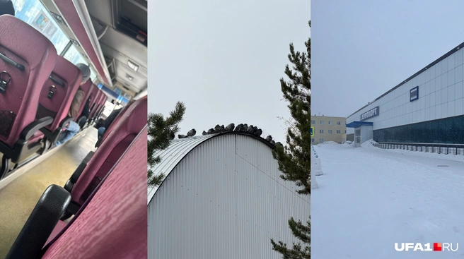 Иногда жизнь может выглядеть серой, но надо помнить, что это временно | Источник: читатель UFA1.RU