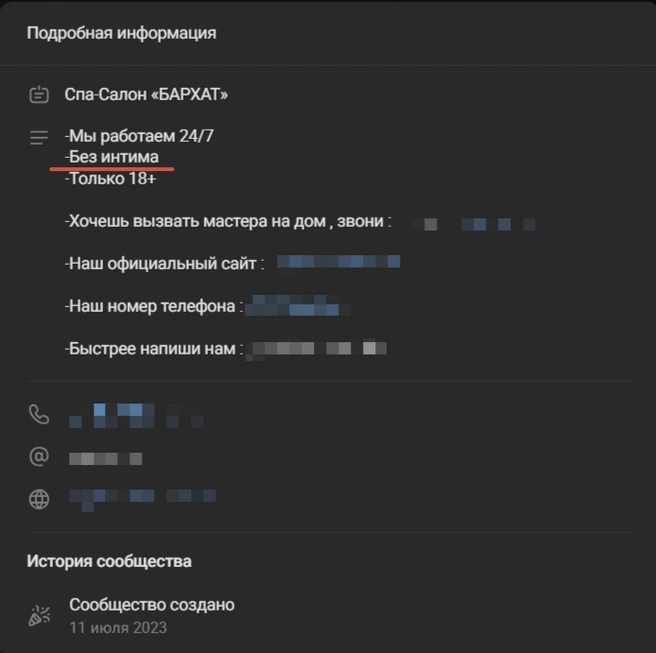 Группа во «Вконтакте» насчитывает всего 17 подписчиков | Источник: Спа-салон «Бархат»