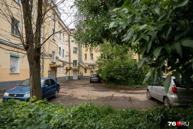 Во дворах много деревьев и зелени | Источник: Александр Куренной / 76.RU