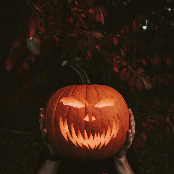 Источник: Unsplash